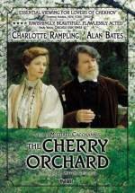 The Cherry Orchard