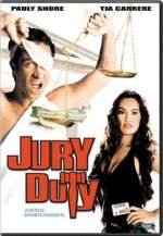 Jury Duty (Â¿Y dÃ³nde estÃ¡ el jurado?)