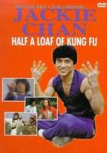 El aprendiz de Kung Fu