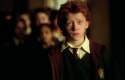 Imagen de Rupert Grint