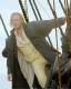 Imagen de Master and Commander: Al otro lado del mundo